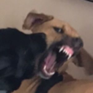 Meet your Posher, Angie